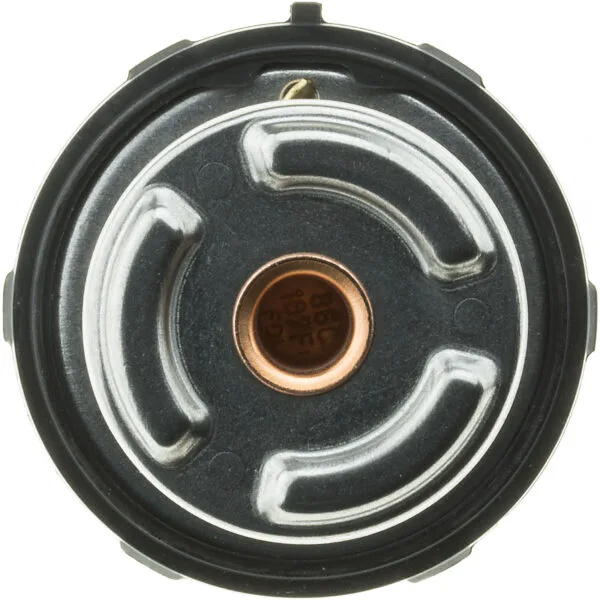 Engine Coolant Thermostat - Image 4