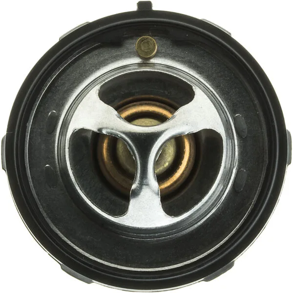 Engine Coolant Thermostat - Image 3